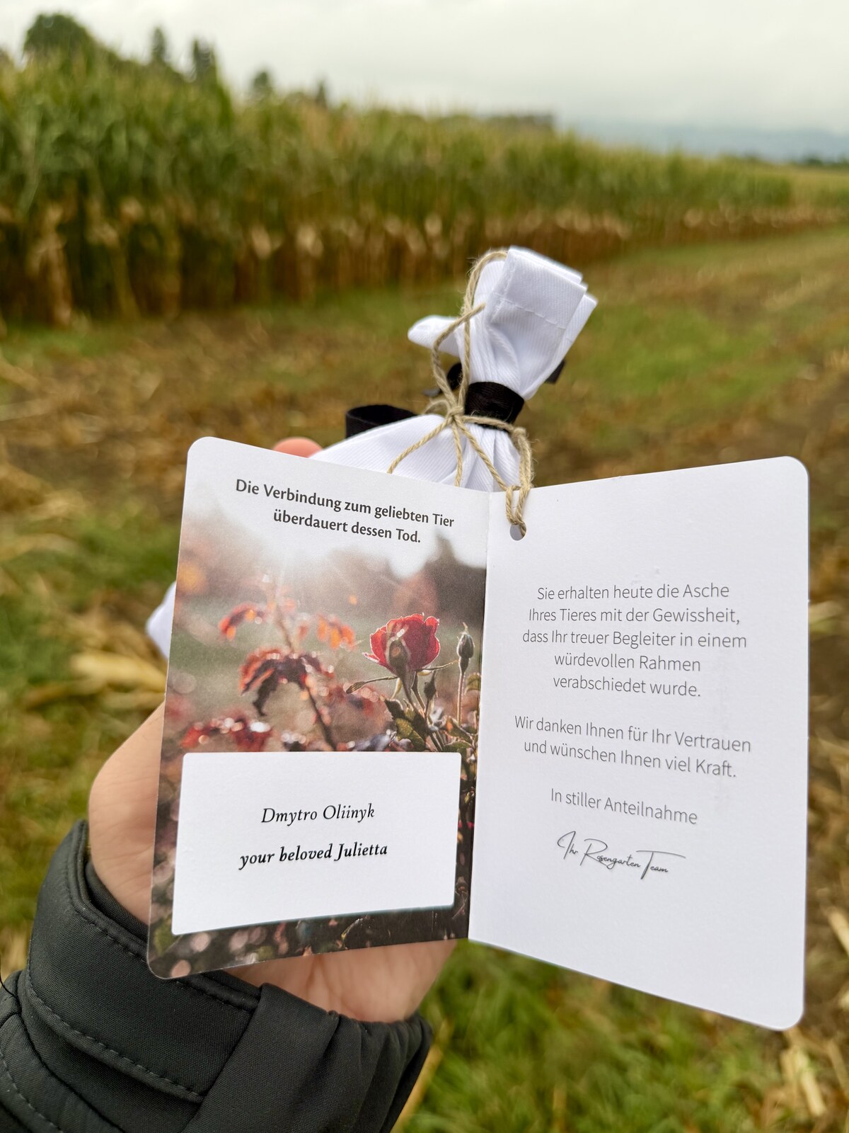 A card held open in one hand against a background of a cornfield. On the left page, a photograph of a red rose among autumn leaves, with a small printed label under it holding his own name and a line for her. On the right page, German text from the crematorium, and above the card a white cloth bundle tied shut with string.